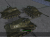 modemM41G_CWA1